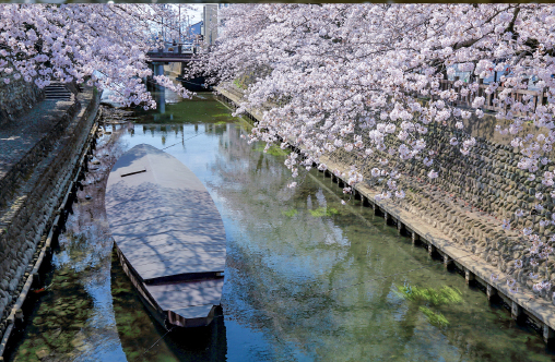 清い地下水に恵まれた水の都2