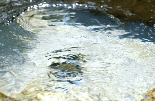 清い地下水に恵まれた水の都2