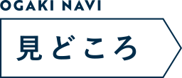 見どころ