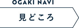 見どころ