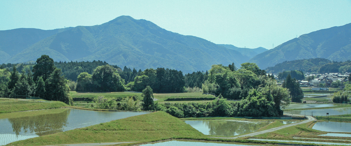 里山暮らし  