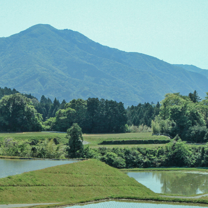 里山暮らし  